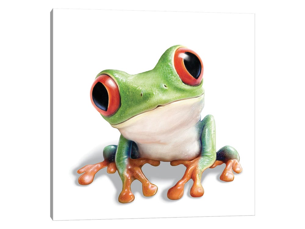 Tree Frog Art Print by P.D. Moreno