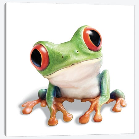 Tree Frog Canvas Print #PDM203} by P.D. Moreno Canvas Print