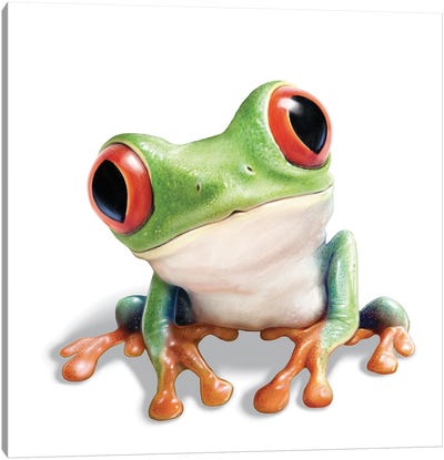 Tree Frog Canvas Art Print - P.D. Moreno