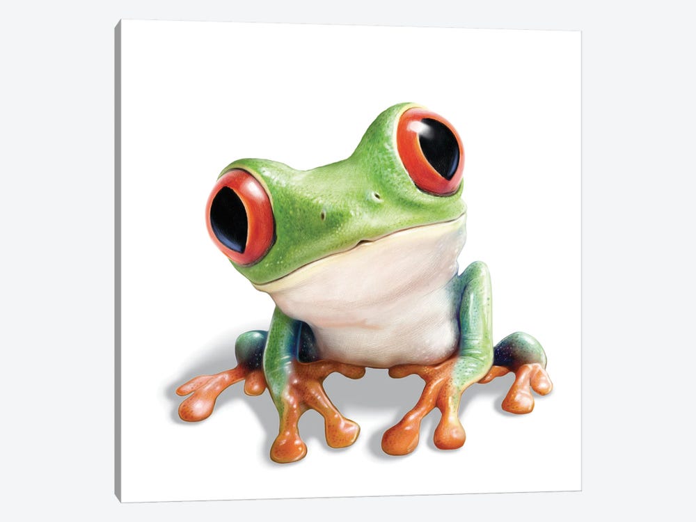 Tree Frog by P.D. Moreno 1-piece Canvas Art