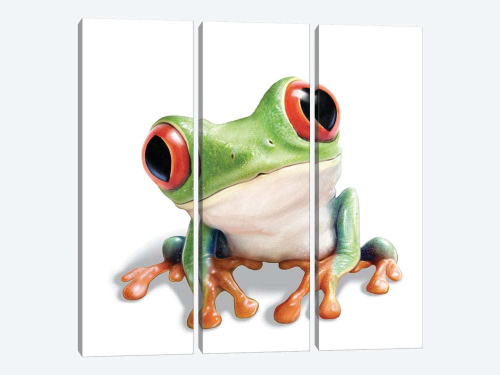 Tree Frog by P.D. Moreno 3-piece Canvas Artwork