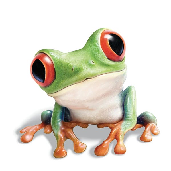 Frogs: Tree Frog by P.D. Moreno