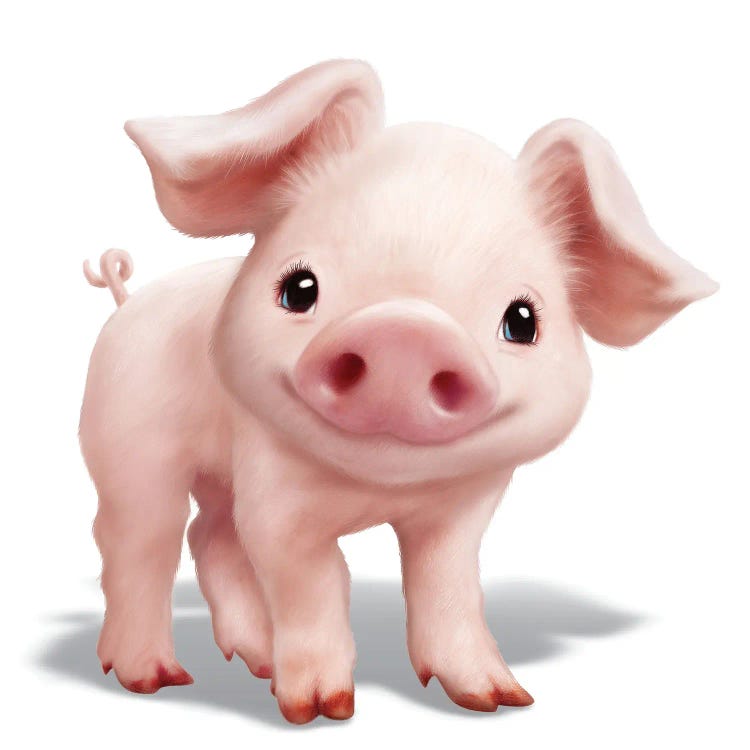 Pig