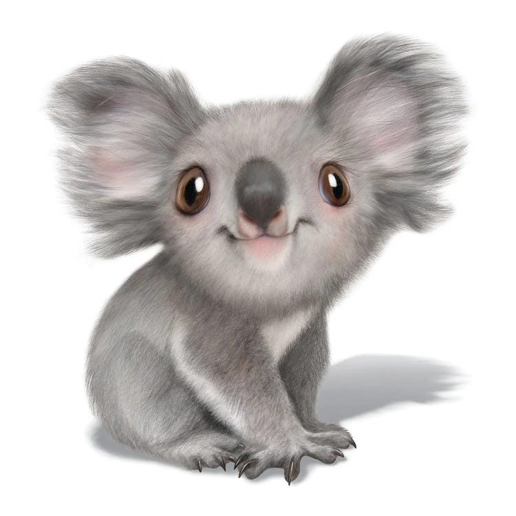 Koala