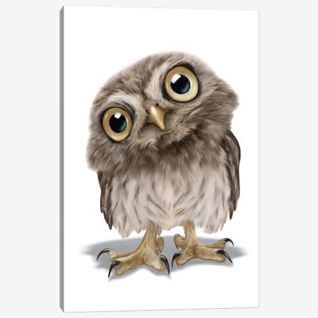 Owl Canvas Print #PDM209} by P.D. Moreno Canvas Print