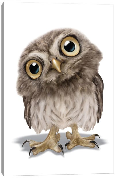 Owl Canvas Art Print - P.D. Moreno