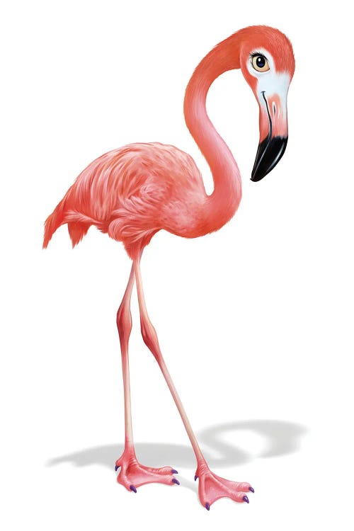 Flamingo