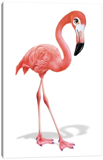 Flamingo Canvas Art Print - P.D. Moreno