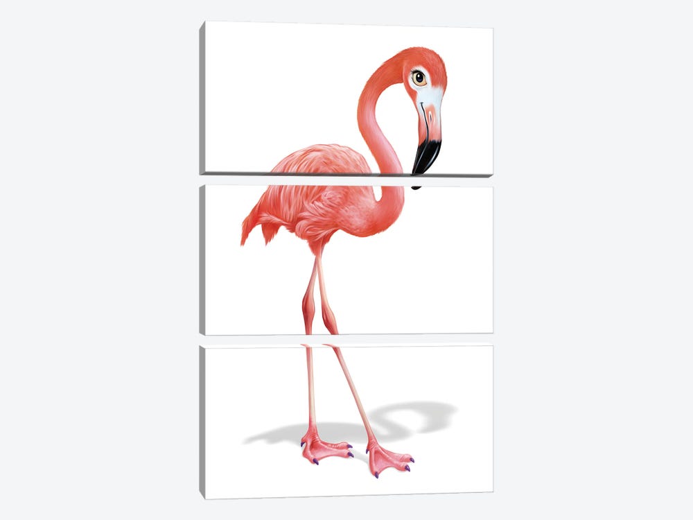 Flamingo by P.D. Moreno 3-piece Art Print