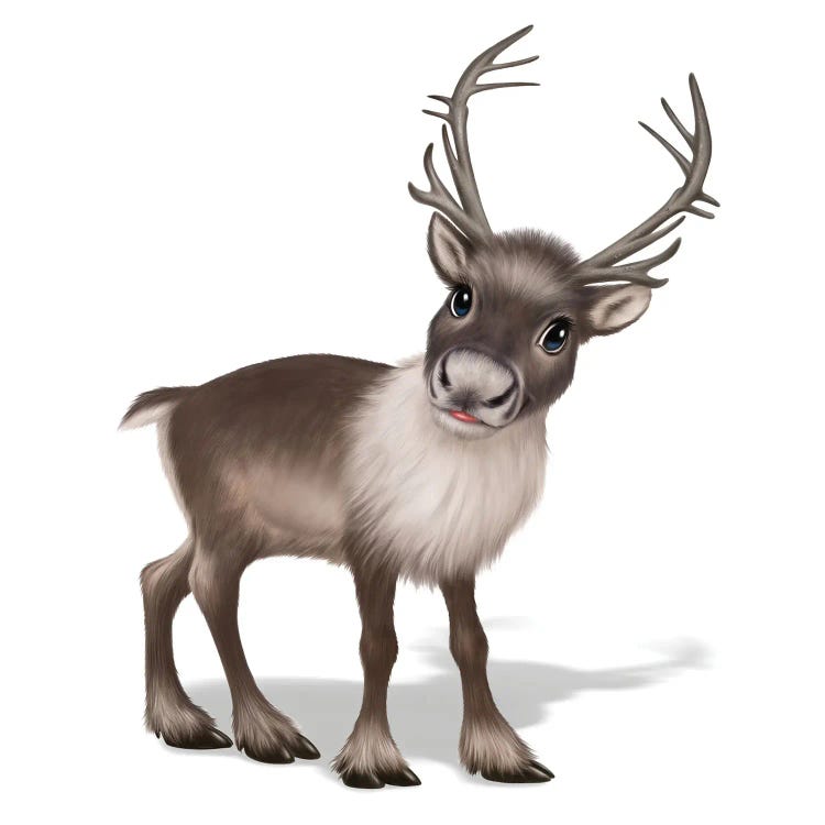 Reindeer