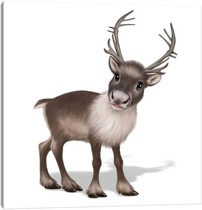 Reindeer Canvas Art Print - Reindeer