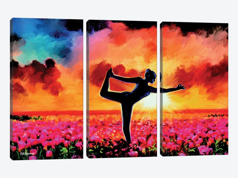 Field Of Yoga by P.D. Moreno 3-piece Canvas Artwork