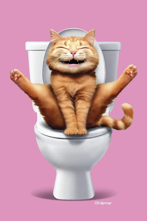 Cat WC