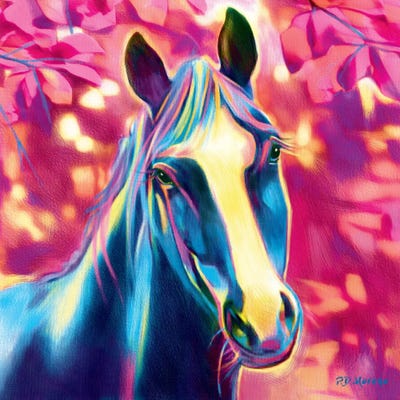 Mchenry by P.D. Moreno canvas print