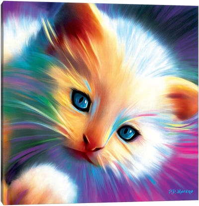 Marshmellow Canvas Art Print - Kitten Art