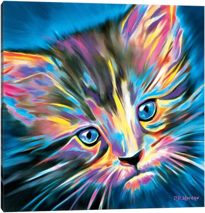 Pepper Canvas Art Print - Kitten Art