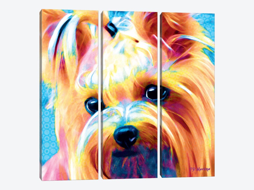 Muffie by P.D. Moreno 3-piece Canvas Wall Art