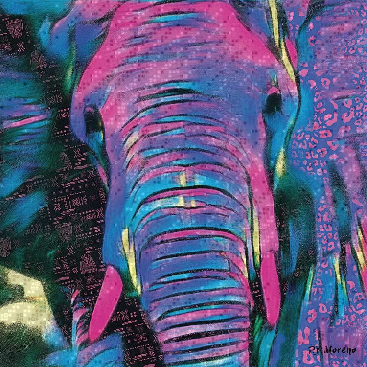 Hugo by P.D. Moreno wall art
