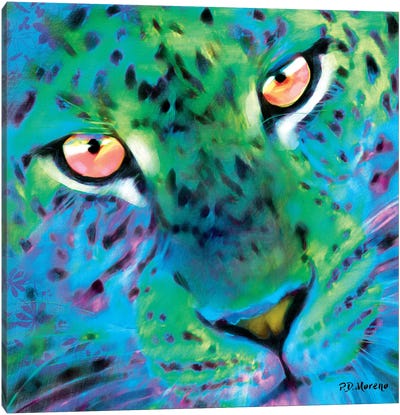 Sid Canvas Art Print - Leopard Art