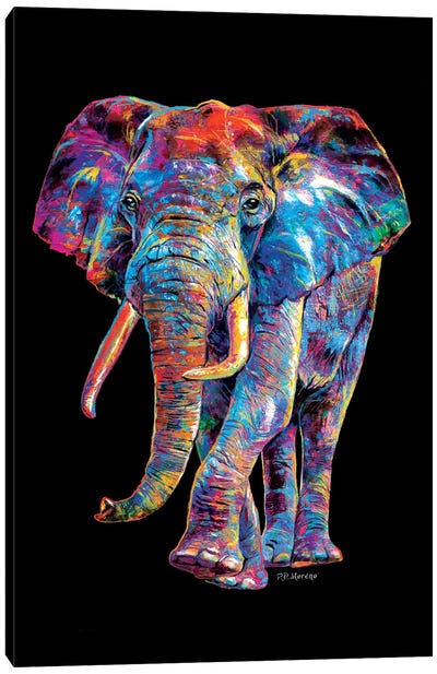 Elephant Canvas Art Print - P.D. Moreno