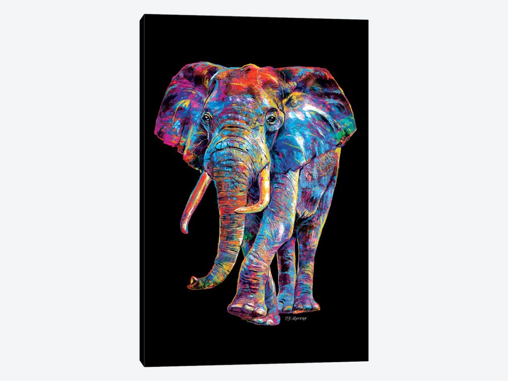 Elephant by P.D. Moreno 1-piece Canvas Artwork