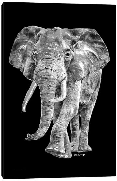 Elephant In Black And White Canvas Art Print - P.D. Moreno