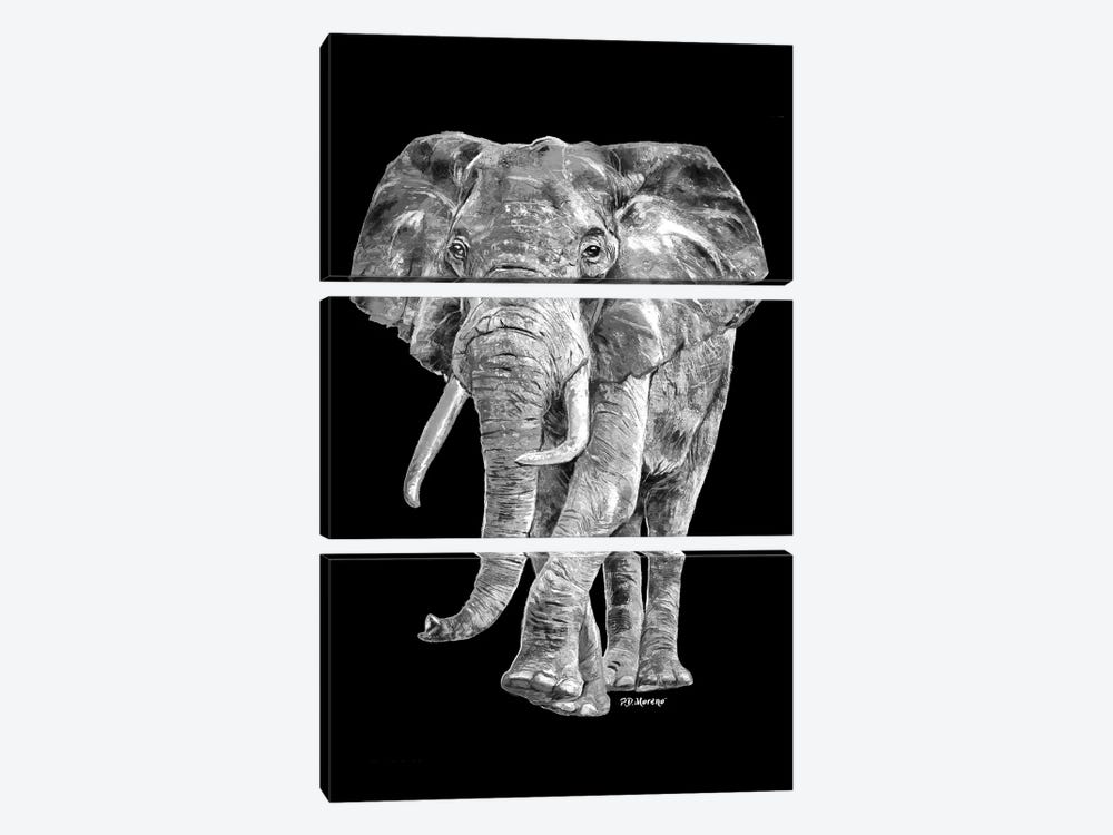 Elephant In Black And White by P.D. Moreno 3-piece Canvas Art Print
