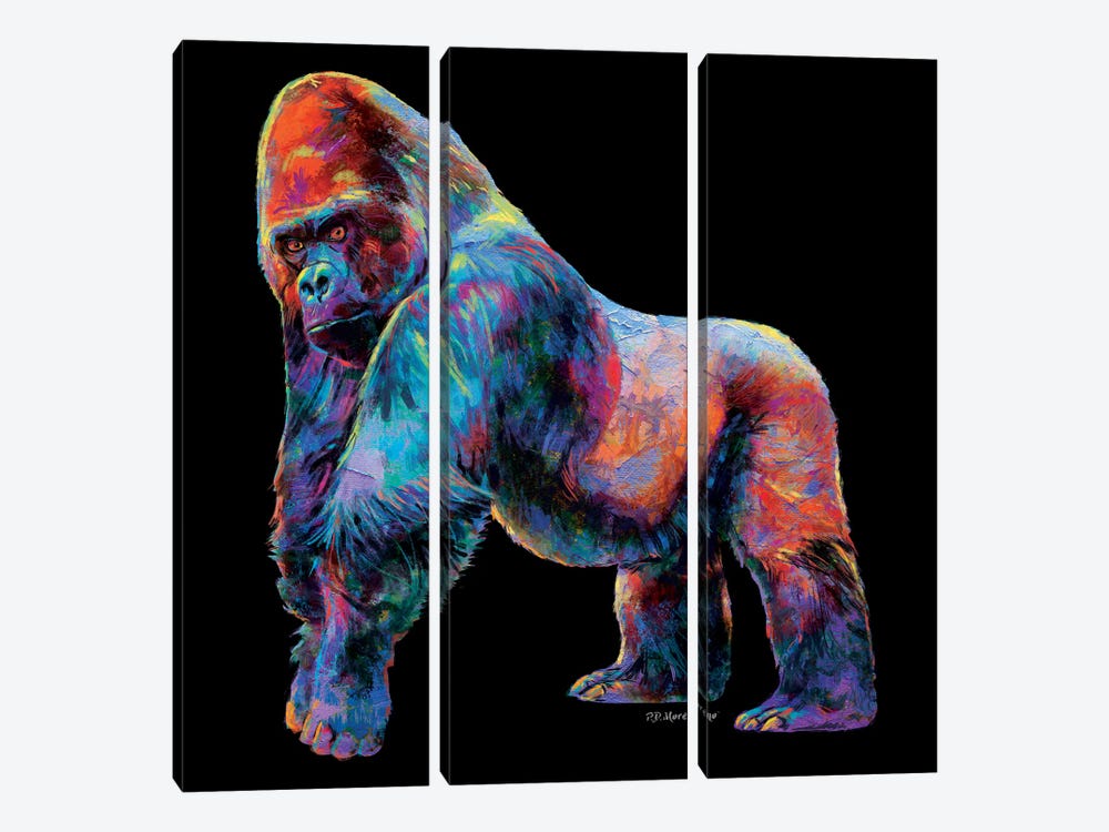 Gorilla by P.D. Moreno 3-piece Canvas Print