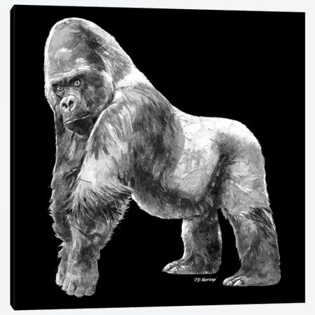 Gorilla In Black And White Canvas Print #PDM61} by P.D. Moreno Canvas Print