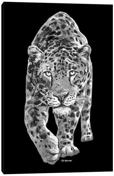 Leopard In Black And White Canvas Art Print - P.D. Moreno