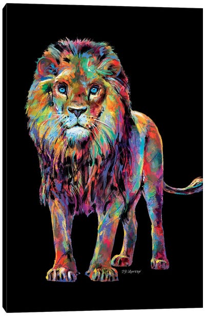 Lion Canvas Art Print - P.D. Moreno