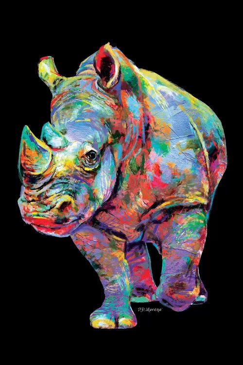 Rhino Stretched Canvas Print Framed Wall Art Home Decor Painting Gift Homeware 