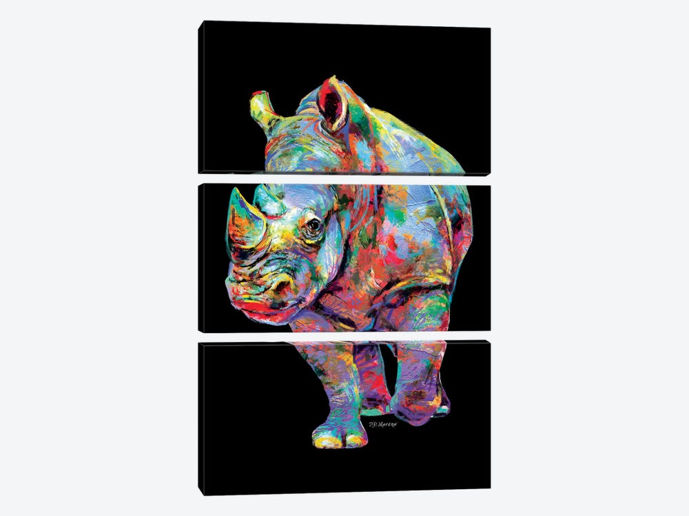 Rhino by P.D. Moreno 3-piece Art Print