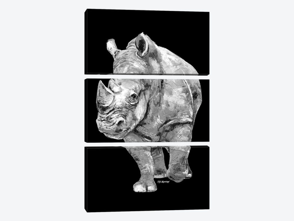 Rhino In Black And White by P.D. Moreno 3-piece Canvas Art