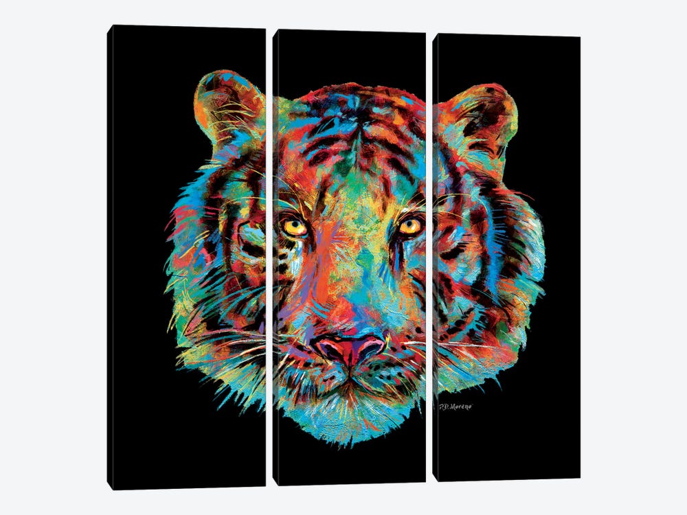 Tiger Head by P.D. Moreno 3-piece Art Print