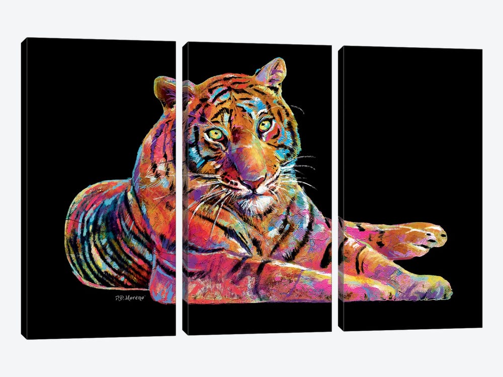 Tiger by P.D. Moreno 3-piece Canvas Artwork