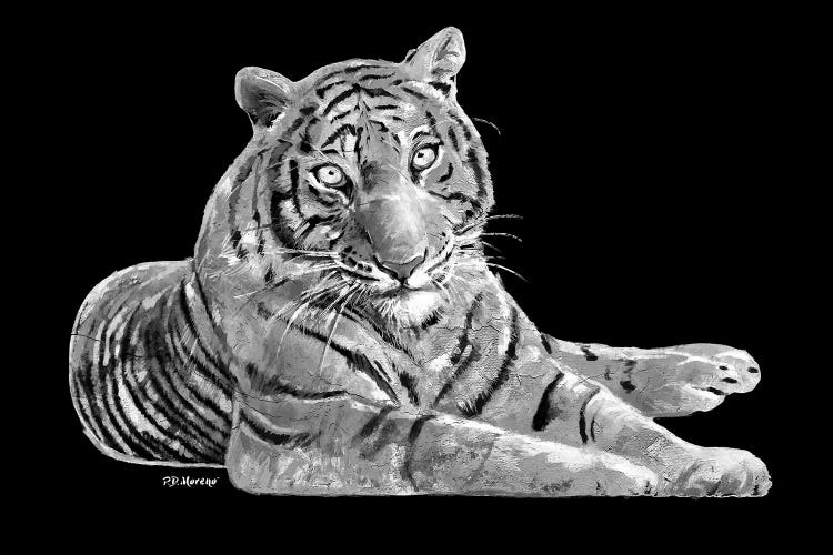 Tiger In Black And White by P.D. Moreno wall art