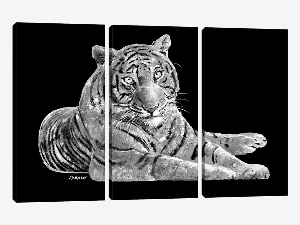 Tiger In Black And White by P.D. Moreno 3-piece Canvas Print