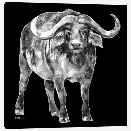 Water Buffalo In Black And White Canvas Print #PDM73} by P.D. Moreno Canvas Art