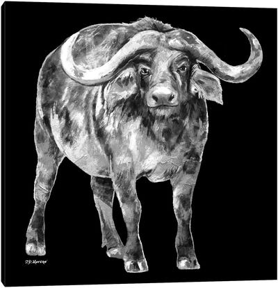 Water Buffalo In Black And White Canvas Art Print - P.D. Moreno
