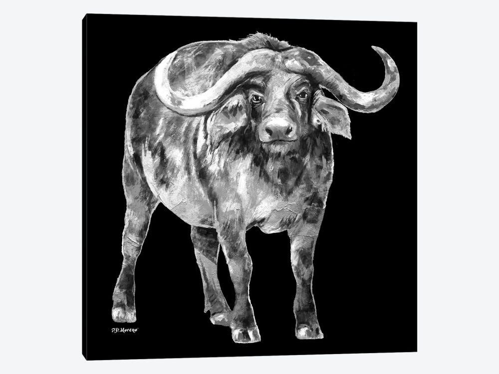Water Buffalo In Black And White by P.D. Moreno 1-piece Canvas Art Print