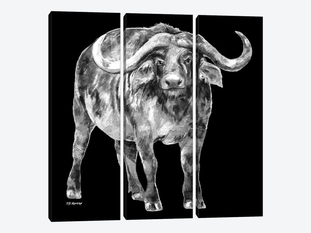 Water Buffalo In Black And White by P.D. Moreno 3-piece Canvas Art Print