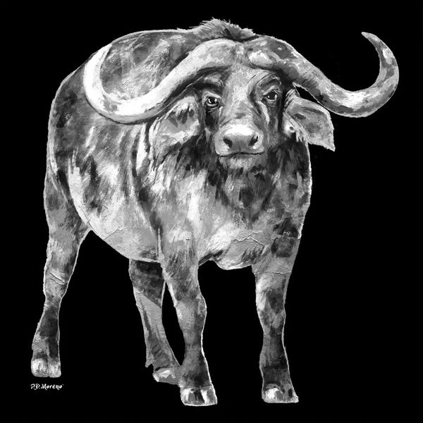 Bison & Buffaloes: Water Buffalo In Black And White by P.D. Moreno