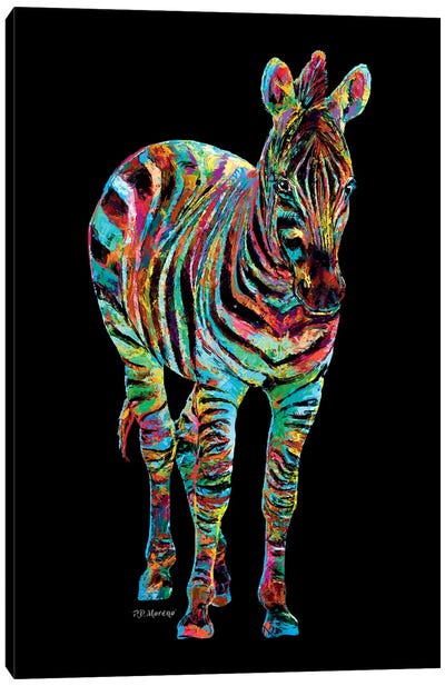 Zebra Canvas Art Print - P.D. Moreno