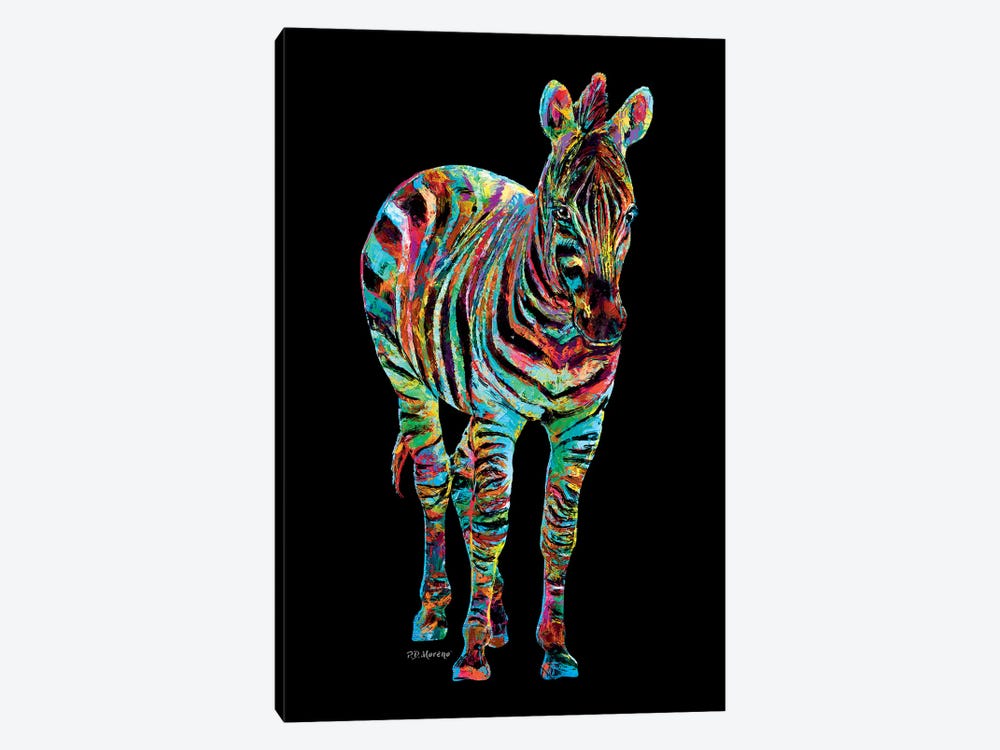 Zebra by P.D. Moreno 1-piece Canvas Art