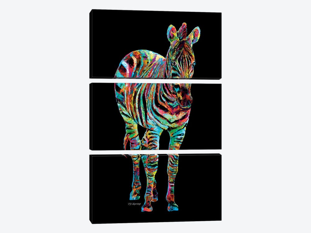 Zebra by P.D. Moreno 3-piece Canvas Artwork