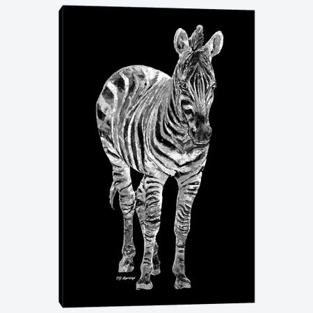 Zebra In Black And White Canvas Print #PDM75} by P.D. Moreno Canvas Art Print