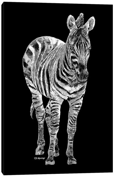 Zebra In Black And White Canvas Art Print - P.D. Moreno