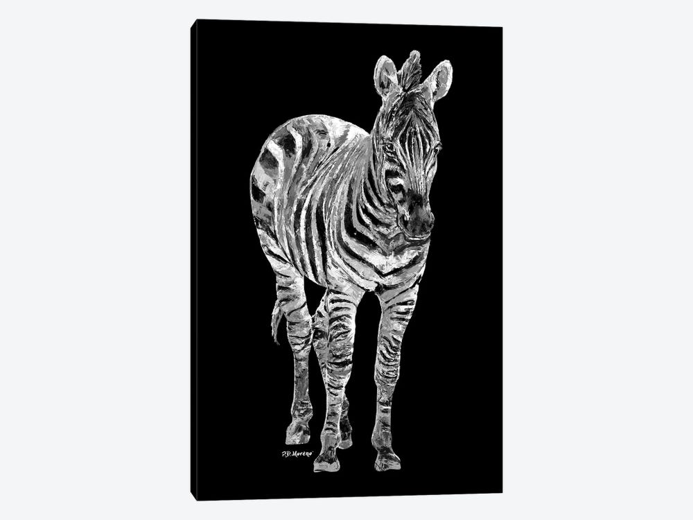 Zebra In Black And White by P.D. Moreno 1-piece Art Print