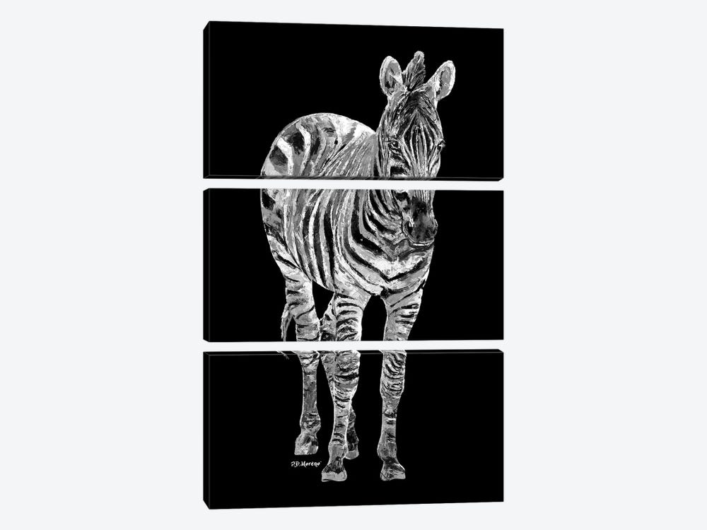 Zebra In Black And White by P.D. Moreno 3-piece Art Print